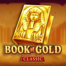 game logo by Playson on cowboyspincasino.ca